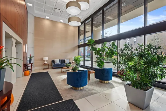 a living room with furniture and a potted plant