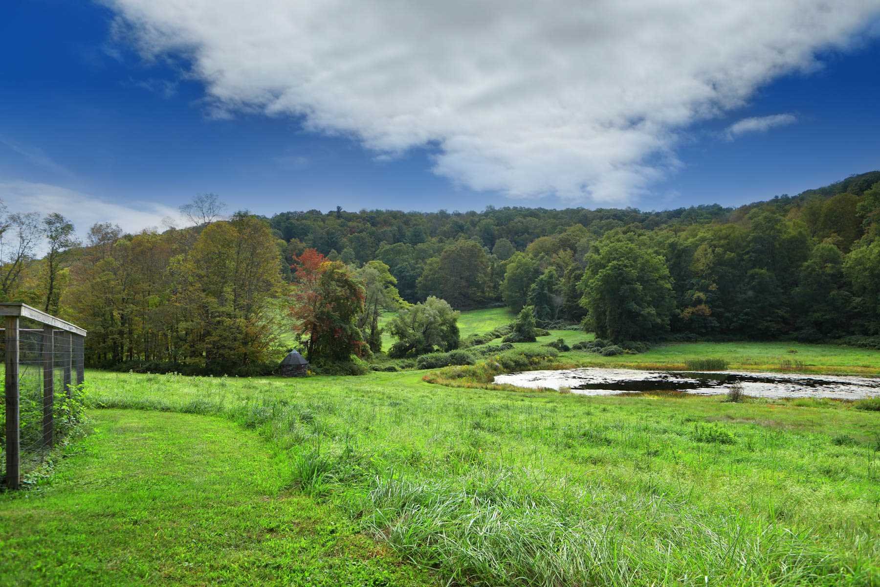 474 Deep Hollow Road Millbrook, NY 12545 - Photo 30 of 30