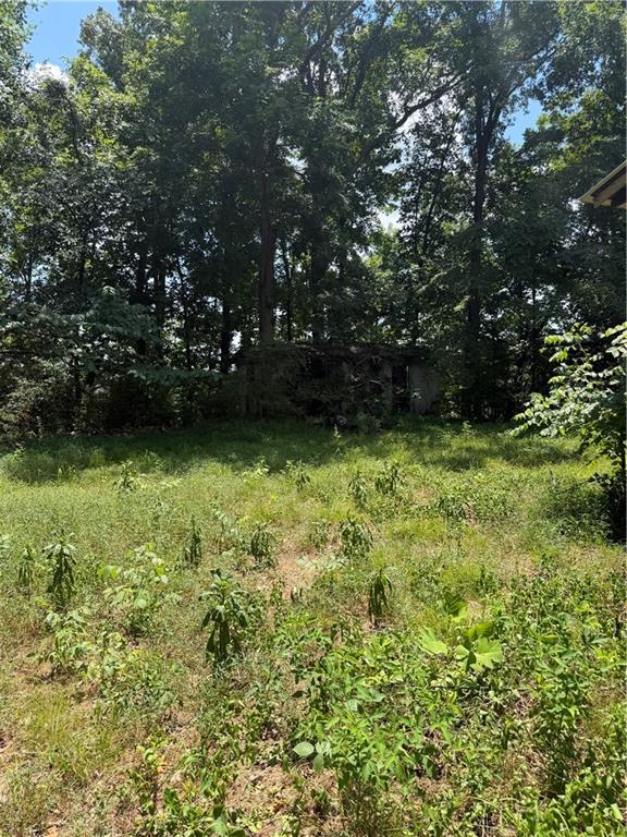 217 Bagwell Garland Road Canton, GA 30115 - Photo 6 of 14