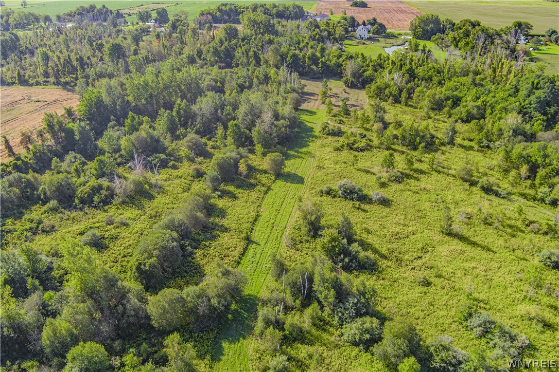 Vl Lake Road Barker, NY 14012 - Photo 8 of 23 Gallery Image 8