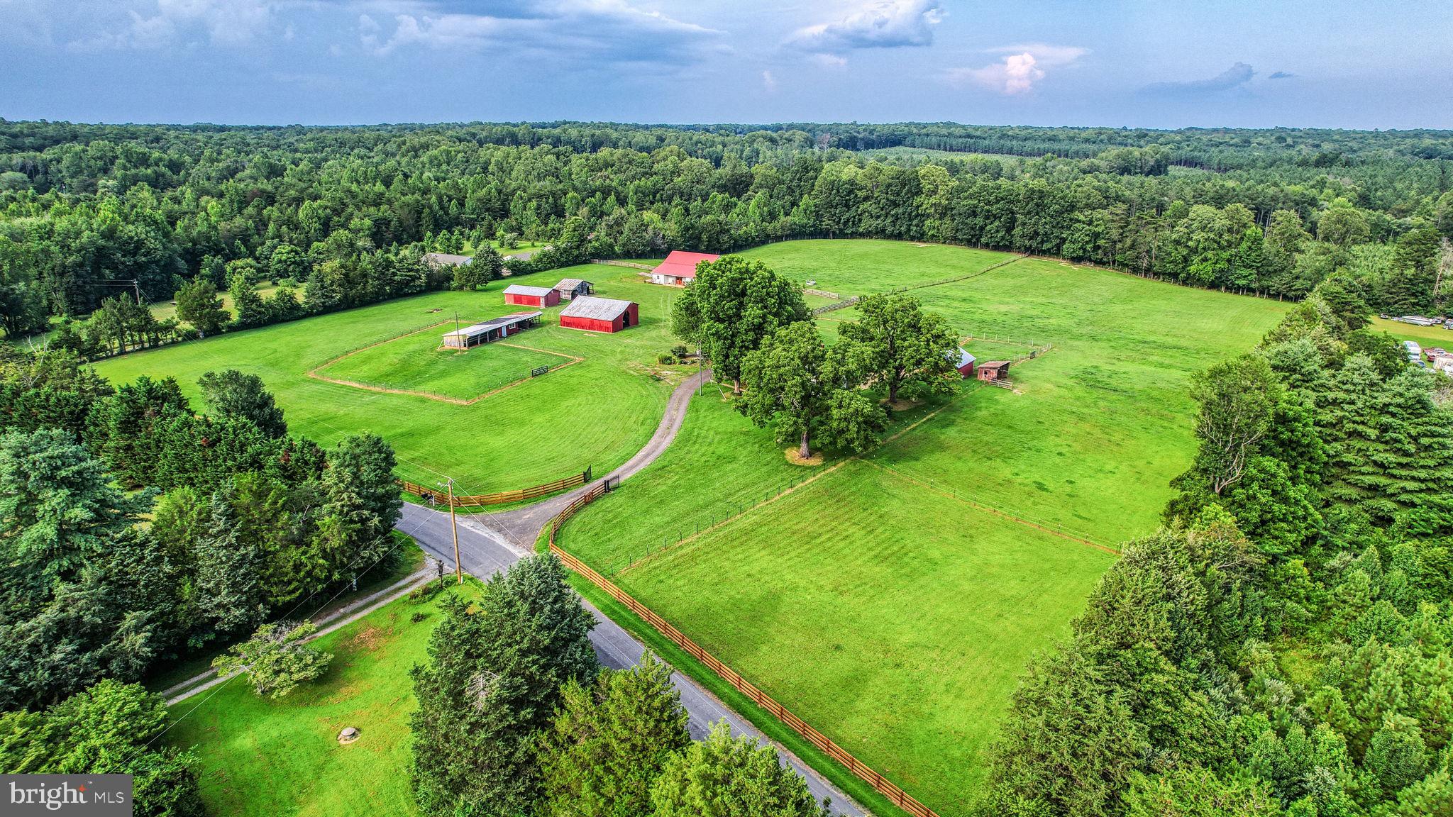 1815 Country Road Beaverdam, VA 23015 - Photo 42 of 92 THIS ESTATE IS GRACED W/NEW STAINED RAIL FENCING