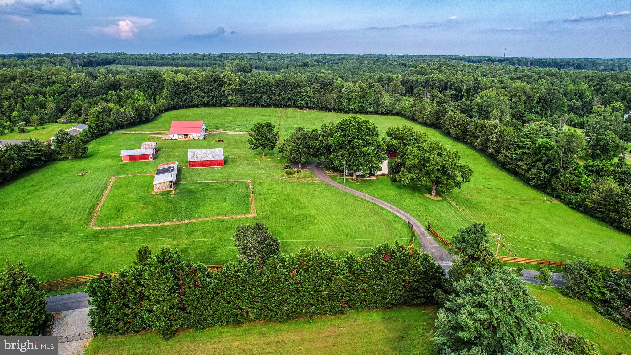 1815 Country Road Beaverdam, VA 23015 - Photo 46 of 92 a view of a golf course with a big yard