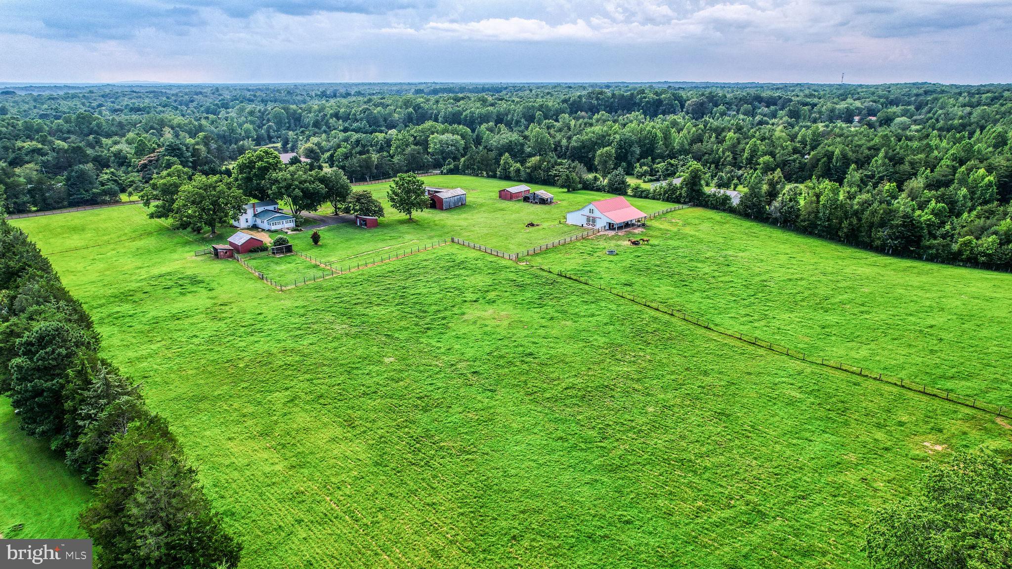 1815 Country Road Beaverdam, VA 23015 - Photo 49 of 92 a green field covered with tall trees
