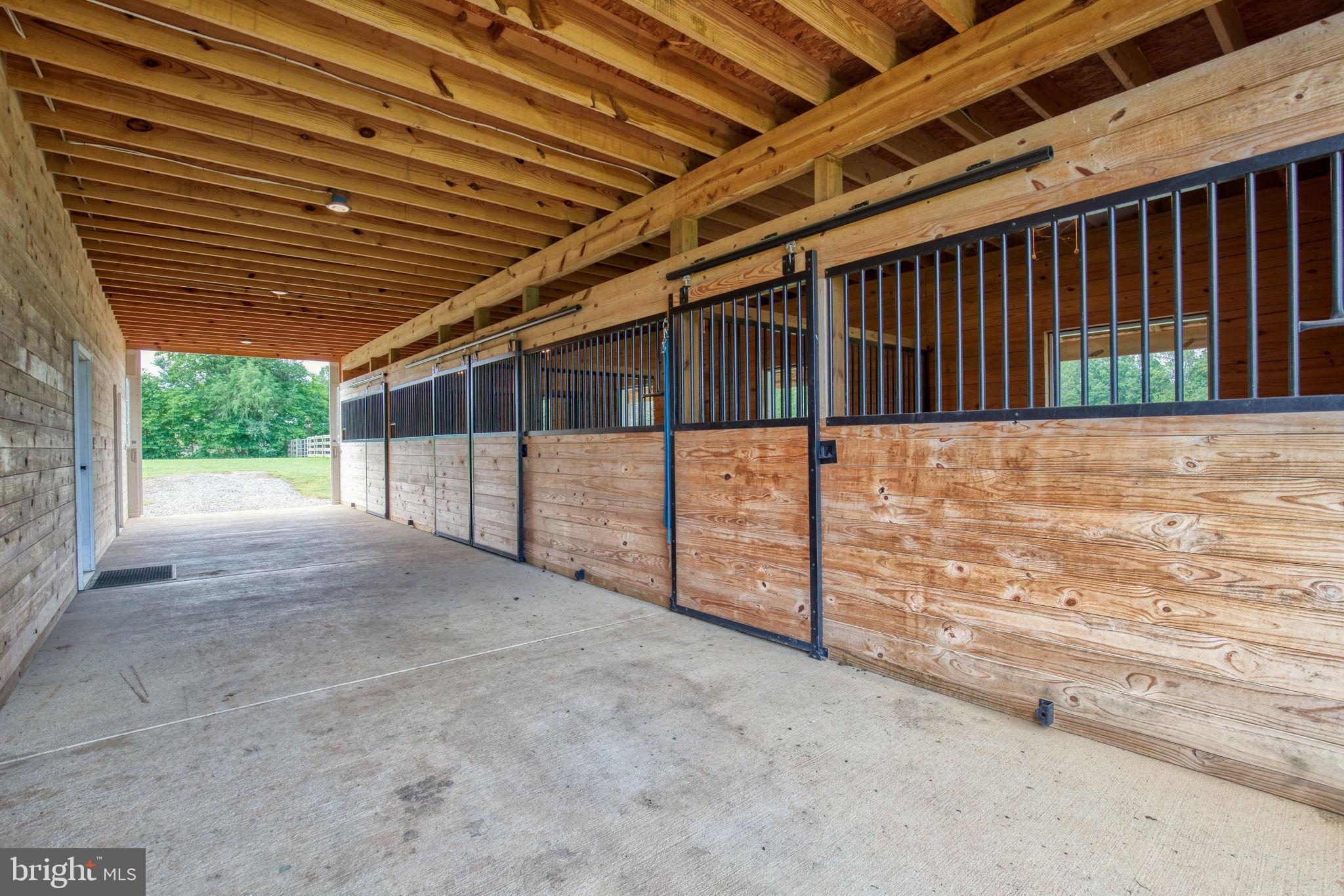 1815 Country Road Beaverdam, VA 23015 - Photo 82 of 92 a view of backyard with wooden deck