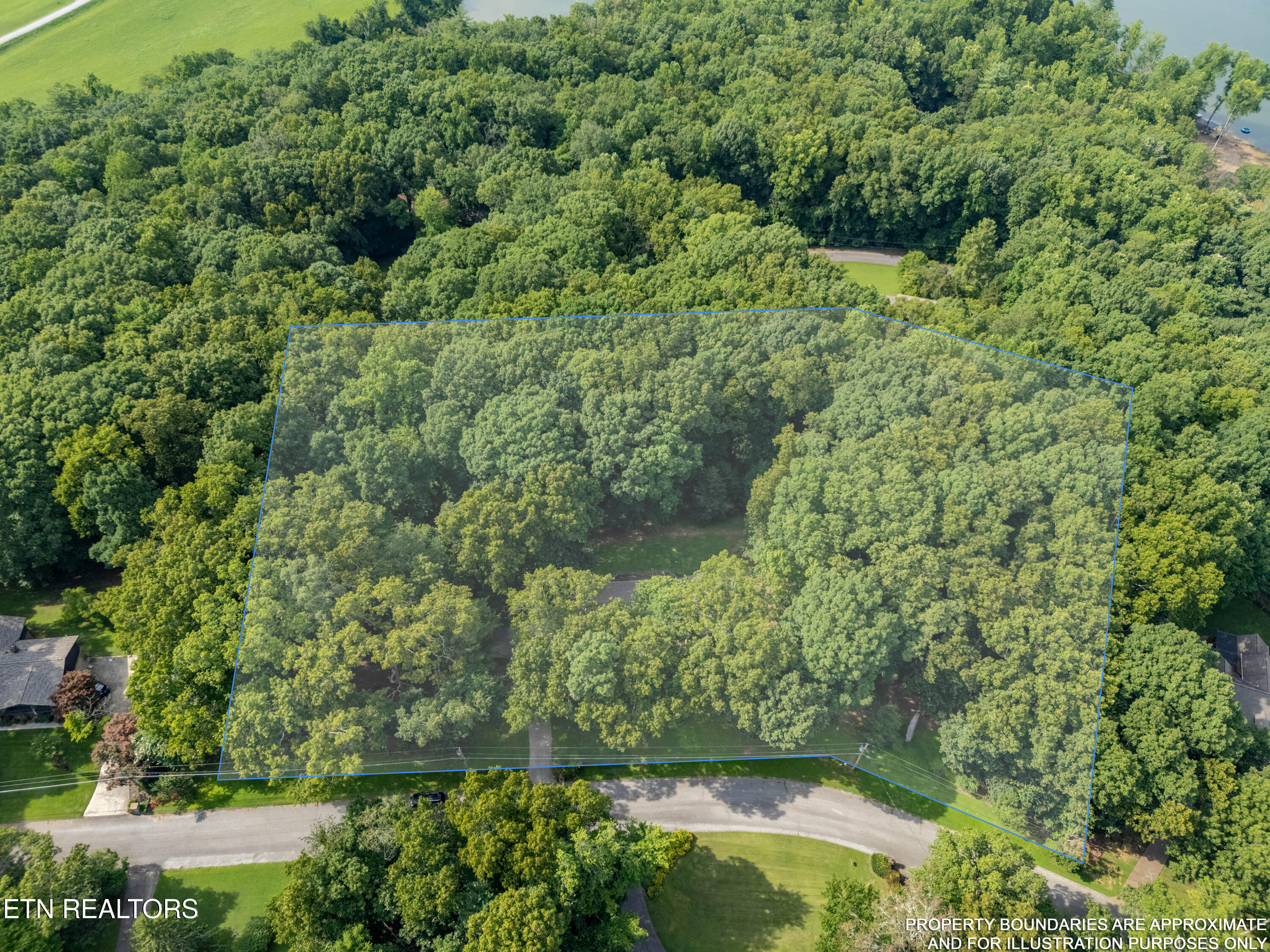 167 Rendezvous Road Rockwood, TN 37854 - Photo 3 of 55 DJI_20260724170710_0255_D-HDR-LOT-LINES