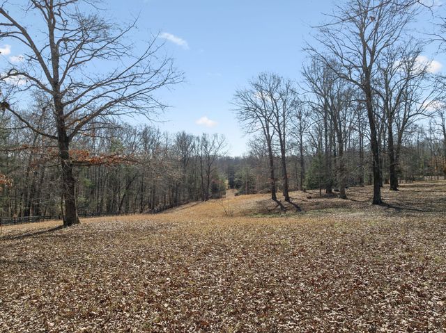 a backyard of a house with trees