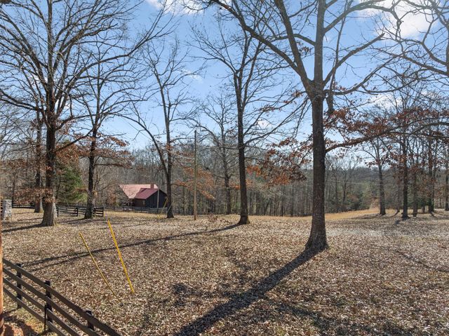 a backyard of a house with trees