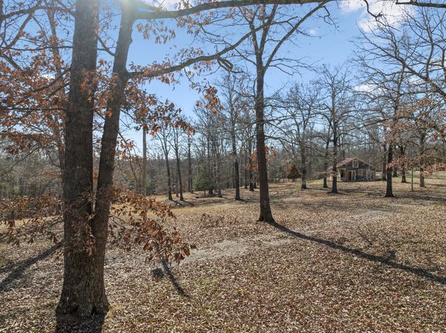 a view of a yard with a tree
