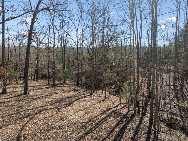 a view of a yard with trees