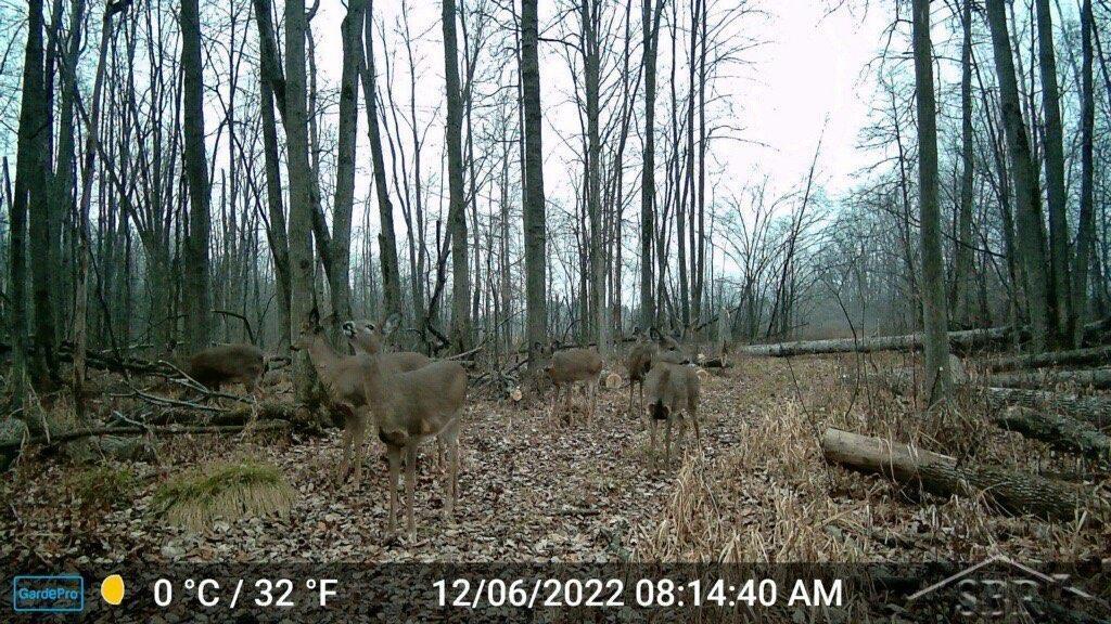 0 Carter Pinconning, MI 48650 - Photo 29 of 29 50108167-28.JPG