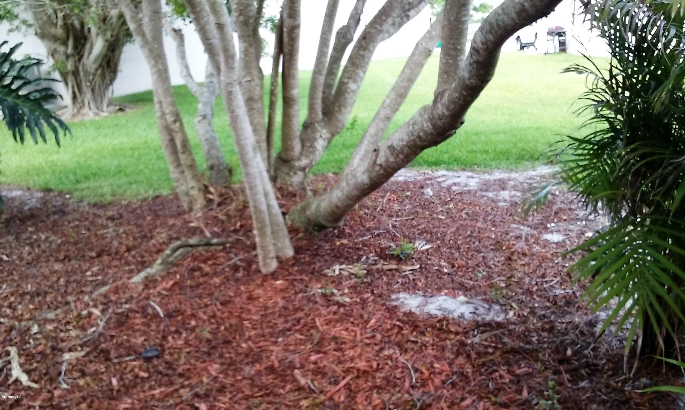 366 Myrtlewood Road Melbourne, FL 32940 - Photo 9 of 43 a view of a garden