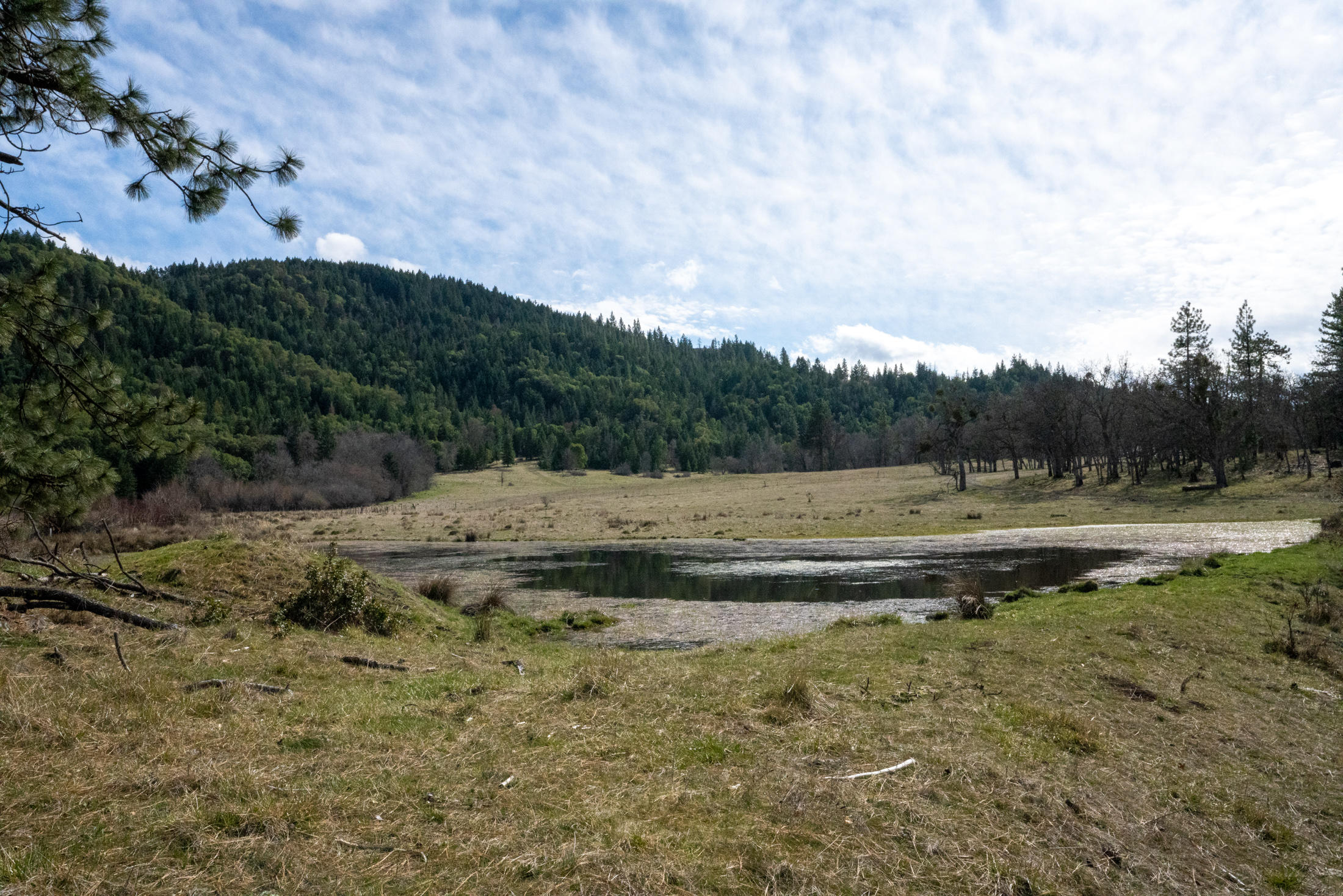 Hillcrest Road Southeast Medford, OR 97504 - Photo 2 of 8 _DSC0049