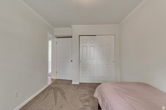 653 South 500 West, Unit 1 Provo, UT 84601 - Photo 12 of 17 Carpeted bedroom with crown molding, white trim, and a bi-fold closet