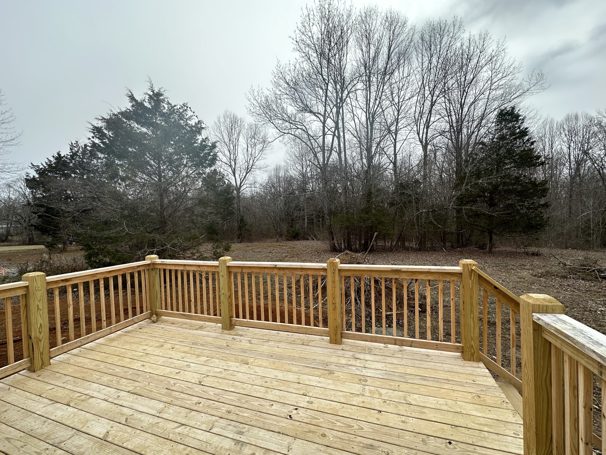 989 Mt Vernon Road Bethpage, TN 37022 - Photo 9 of 9 a terrace view