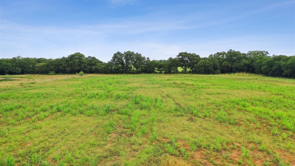 298 Townson Road Dublin, TX 76446 - Photo 5 of 40 a backyard of a house with lots of green space
