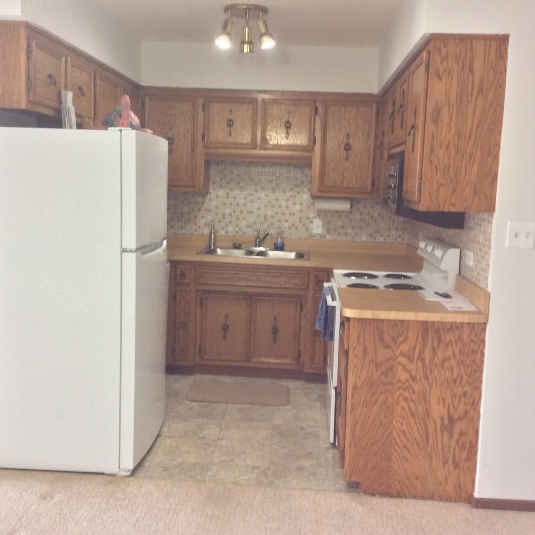 10643 Major Avenue, Unit 1C Chicago Ridge, IL 60415 - Photo 3 of 14 a kitchen with stainless steel appliances granite countertop a refrigerator stove a sink and a microwave