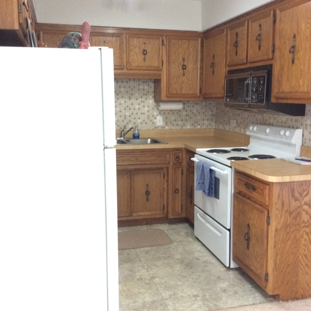 10643 Major Avenue, Unit 1C Chicago Ridge, IL 60415 - Photo 4 of 14