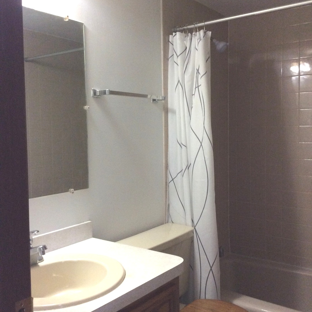 10643 Major Avenue, Unit 1C Chicago Ridge, IL 60415 - Photo 7 of 14 a bathroom with a shower and a sink