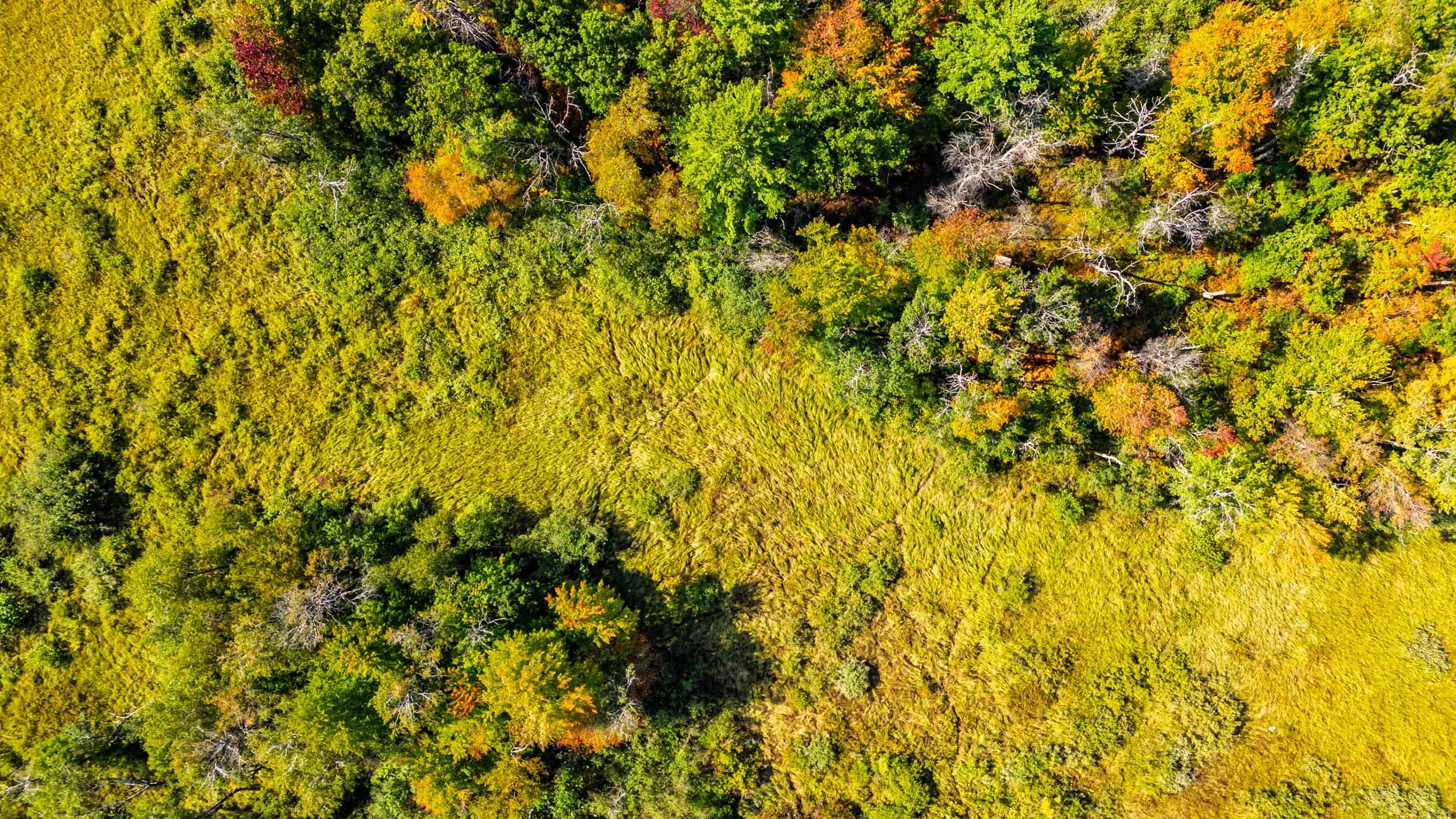 Lot 0 Lonesome Road Wisconsin Rapids, WI 54495 - Photo 15 of 16
