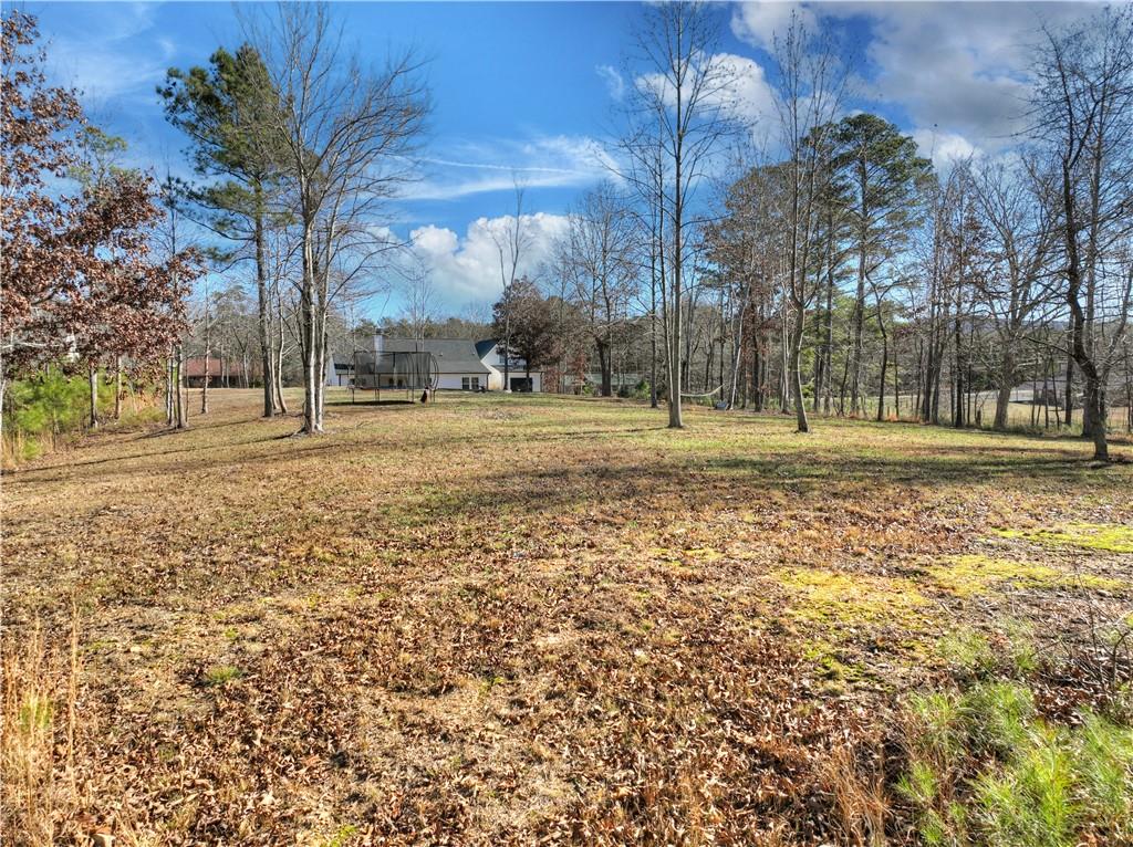 2520 Carlan Road Fairmount, GA 30139 - Photo 33 of 52