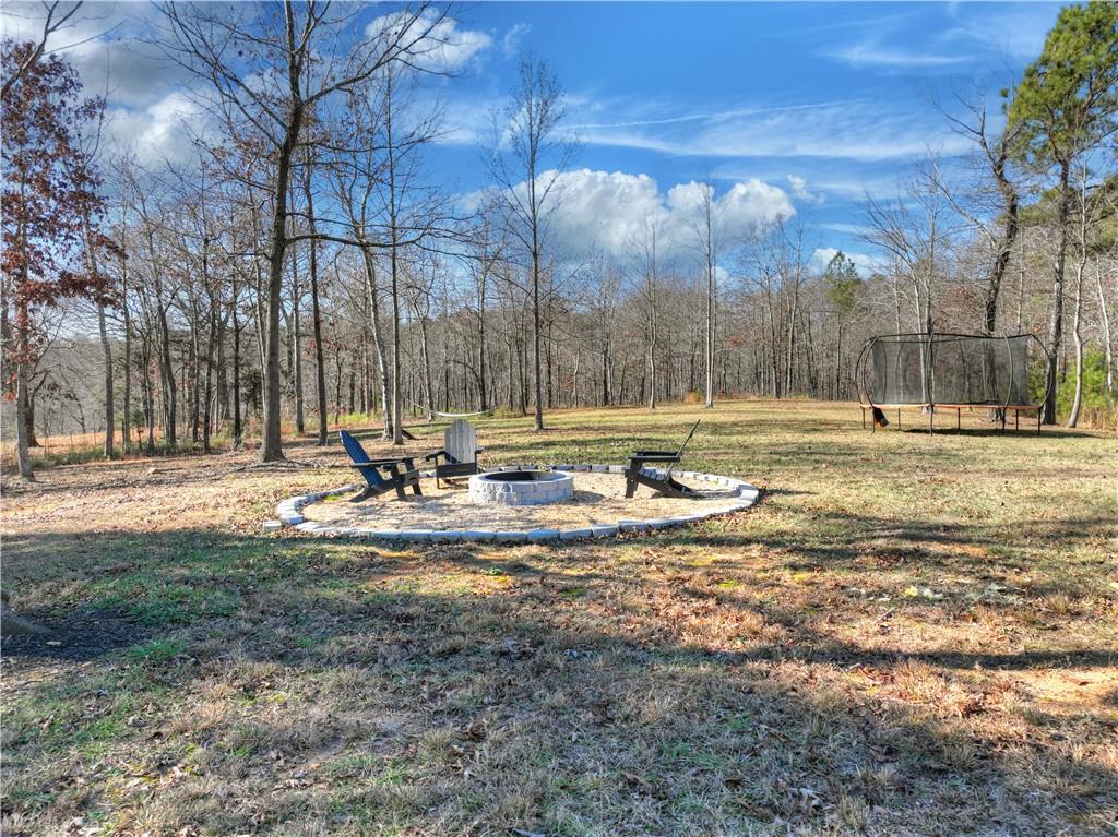 2520 Carlan Road Fairmount, GA 30139 - Photo 34 of 52