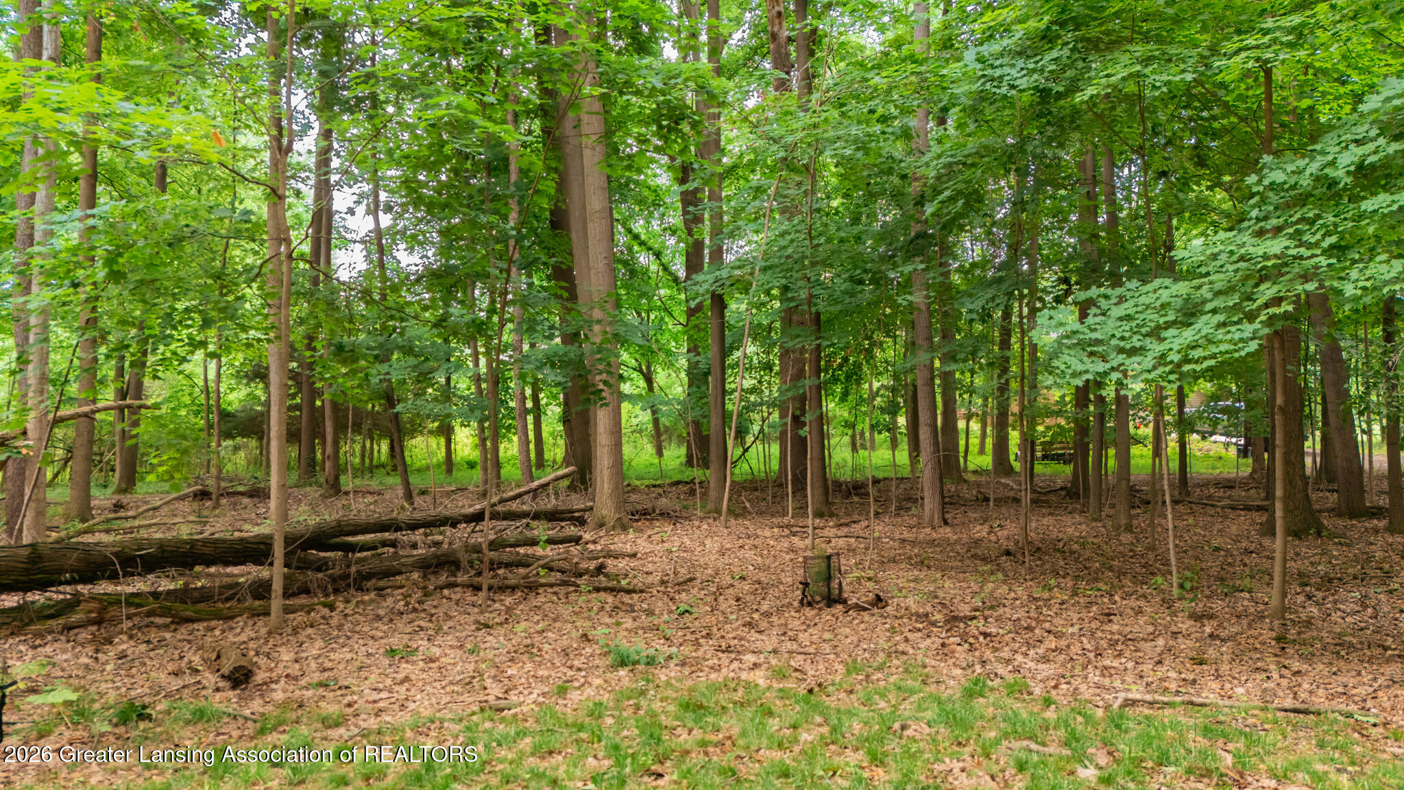 1045 North Eifert Road Holt, MI 48842 - Photo 39 of 43 1045Eifert14