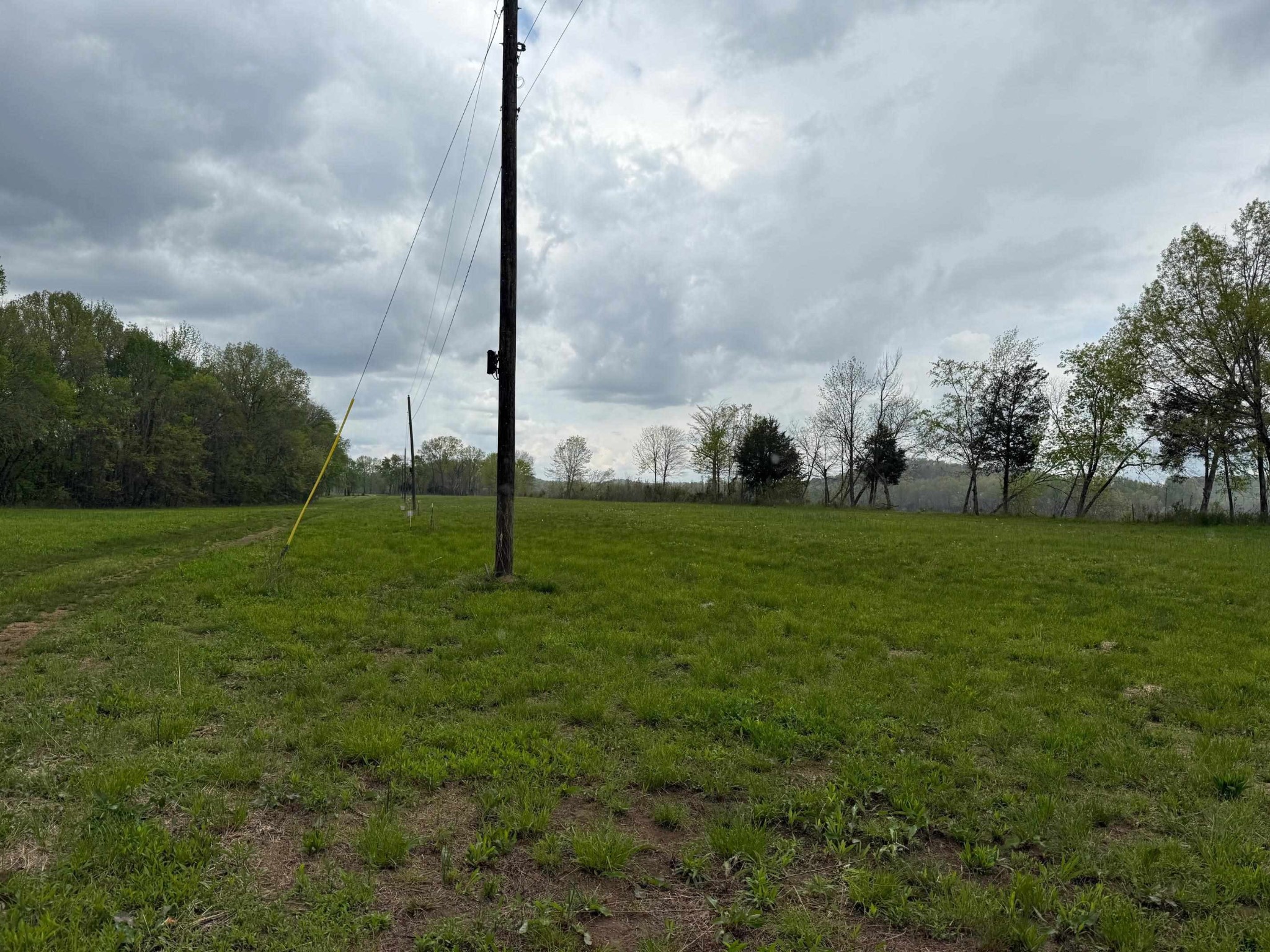 0 Chaparral Road Clifton, TN 38425 - Photo 2 of 5 Gallery Image 2