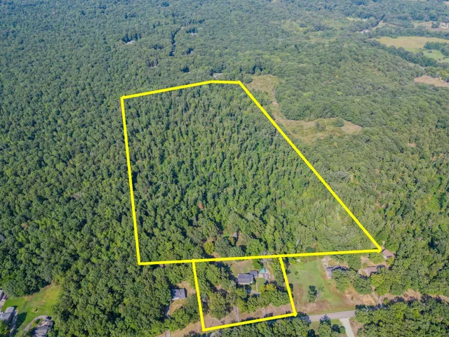 a view of a dry yard