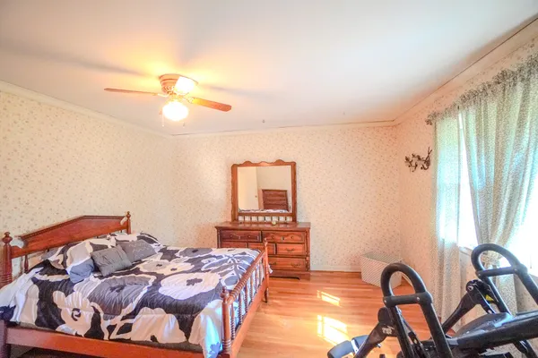 a view of a forest with a tree