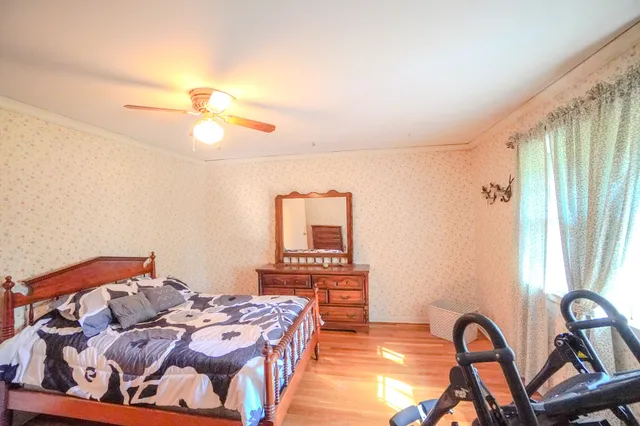 a view of a forest with a tree