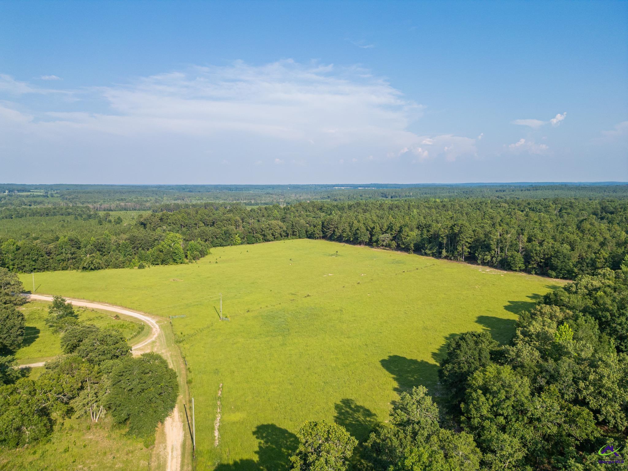 Southland Road Butler, GA 31006 - Photo 24 of 68