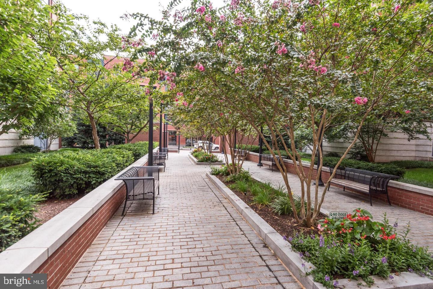 1021 North Garfield Street, Unit 117 Arlington, VA 22201 - Photo 26 of 30 Lush pathways and landscaping