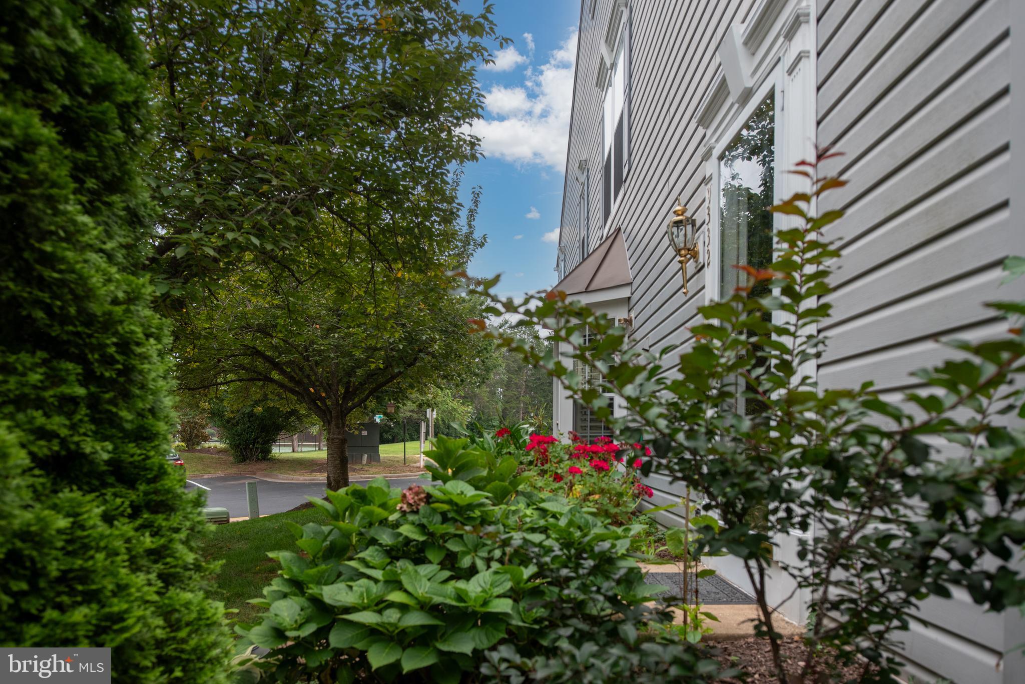 9332 Wax Myrtle Way Manassas, VA 20110 - Photo 13 of 50 a flower plants in front of a house