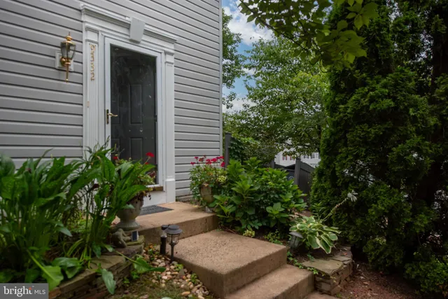 a view of a backyard with plants