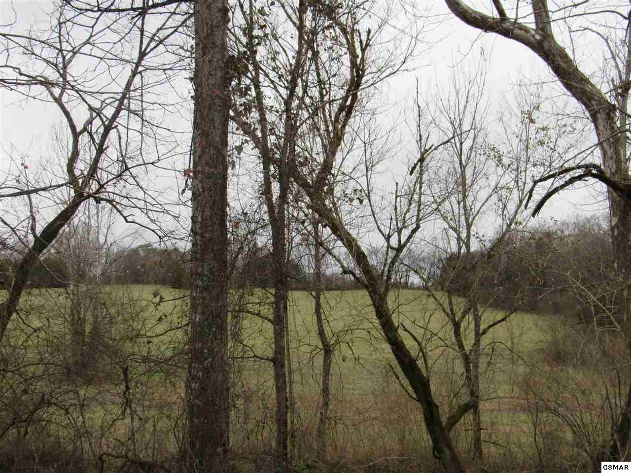 0 Douglas Dam Road Kodak, TN 37764 - Photo 3 of 20 Gallery Image 3