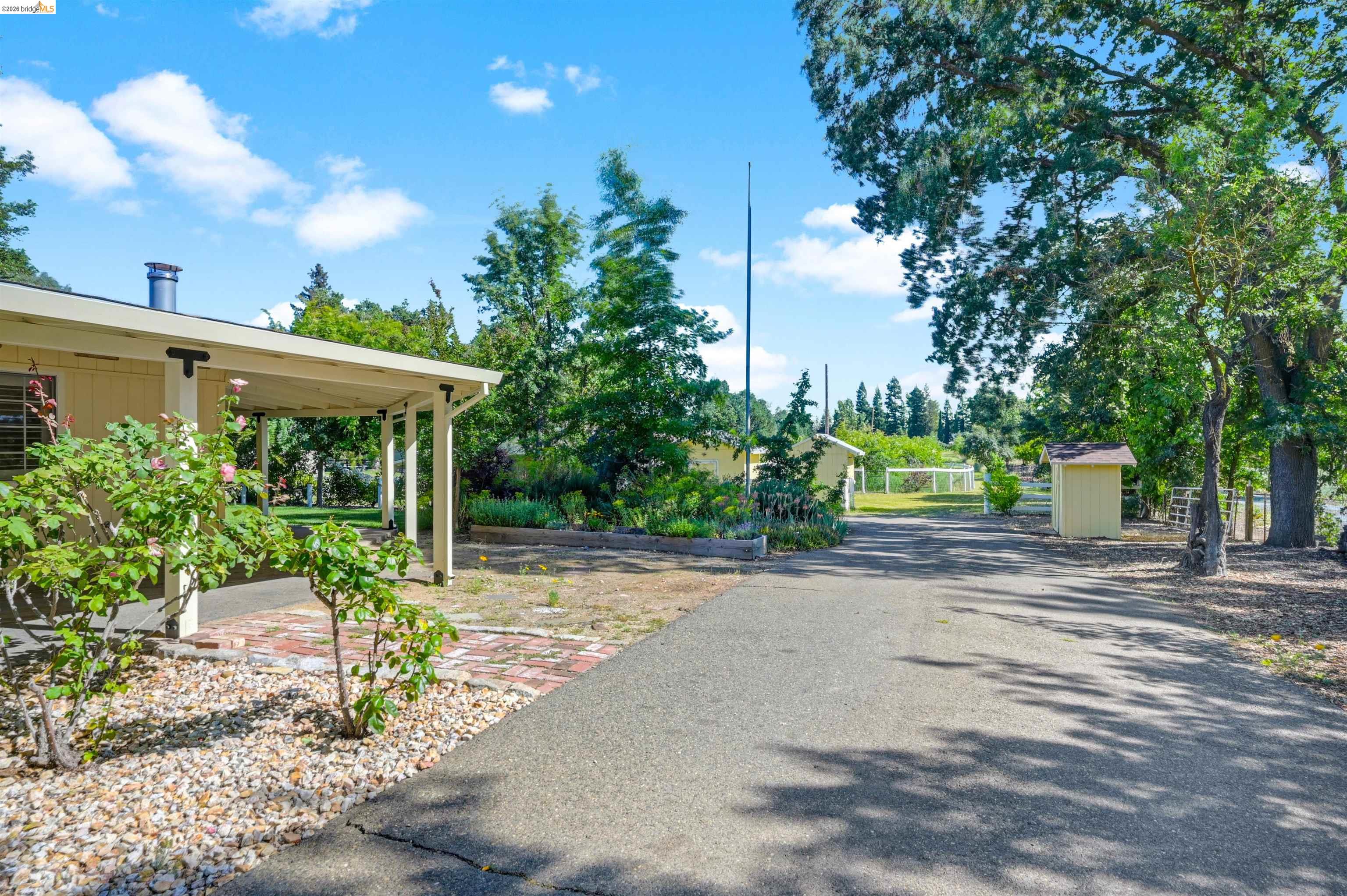10474 Sheldon Road Elk Grove, CA 95624 - Photo 8 of 83 Paved driveway entrance with mature trees and a covered patio