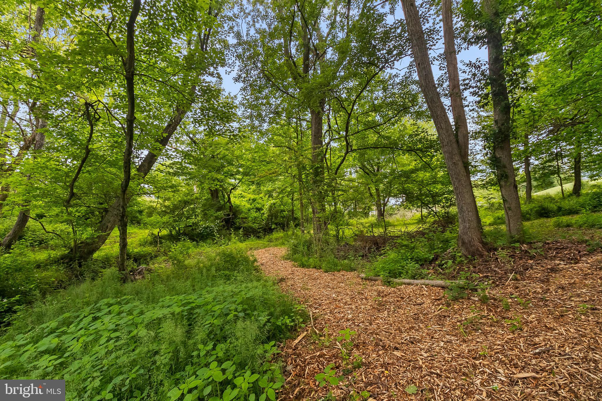 2124 Graves Road Hockessin, DE 19707 - Photo 2 of 86 Beautiful lot!
