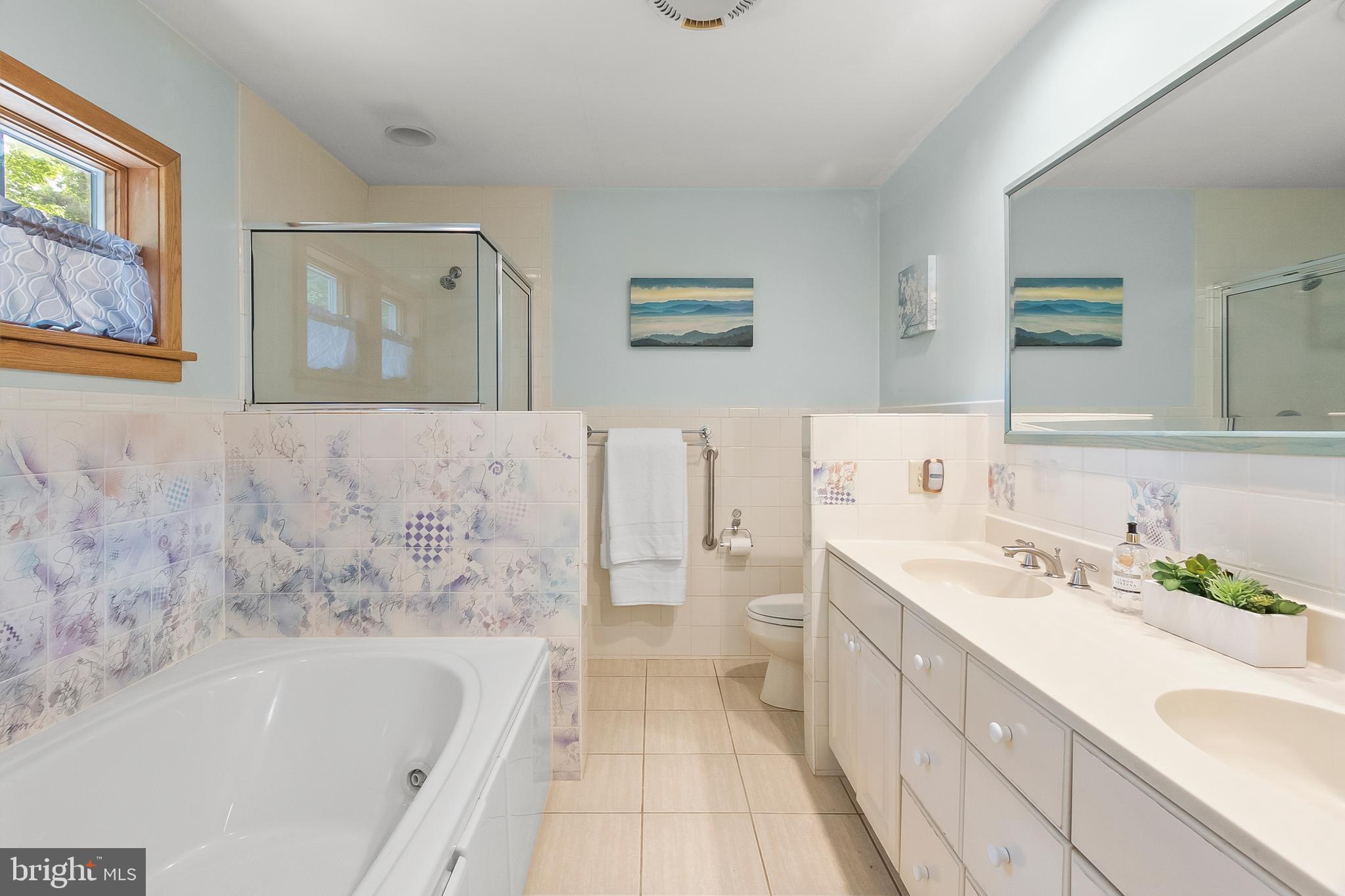 2124 Graves Road Hockessin, DE 19707 - Photo 37 of 86 Jetted Tub