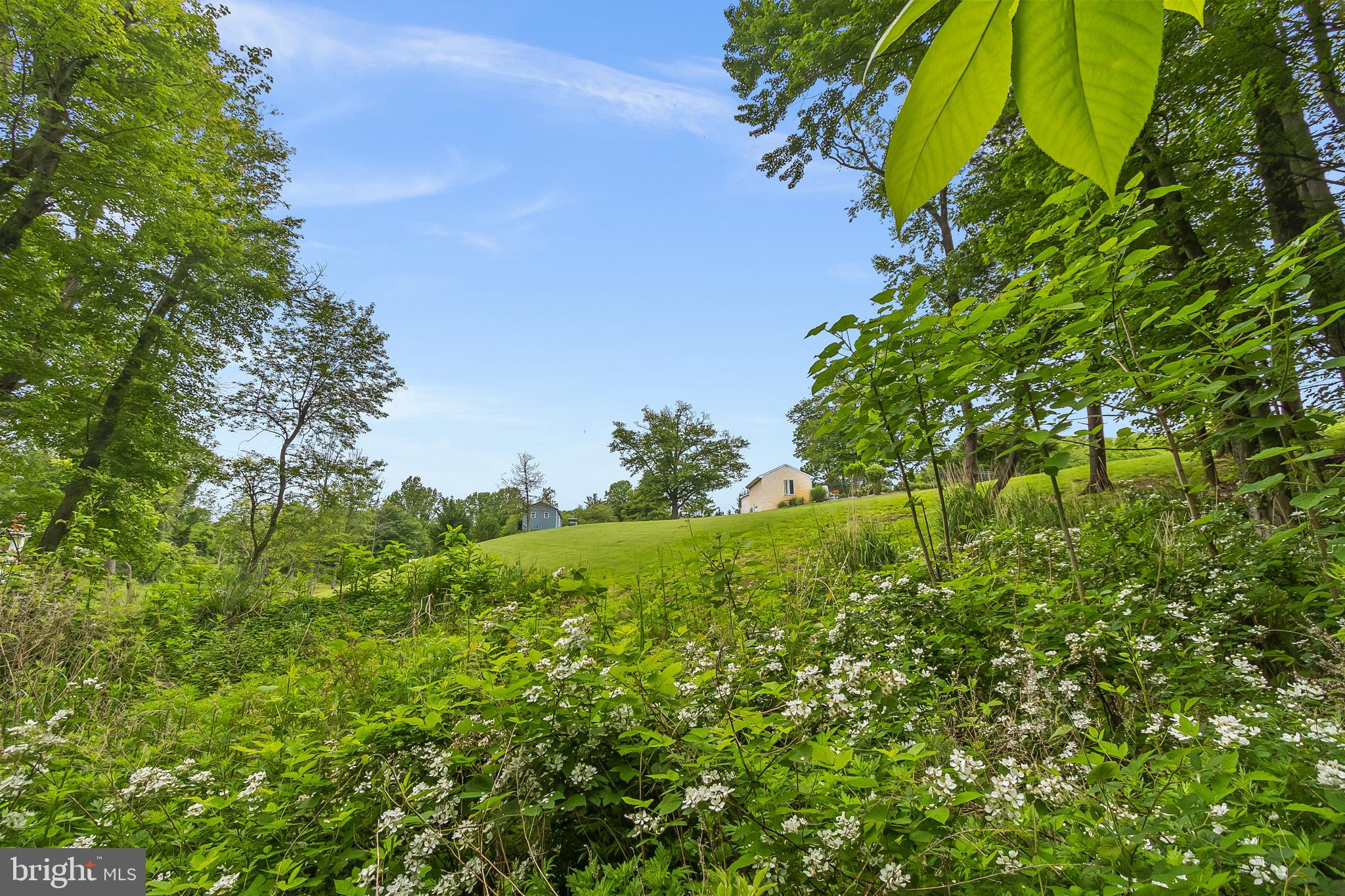 2124 Graves Road Hockessin, DE 19707 - Photo 57 of 86 More photos of the land....