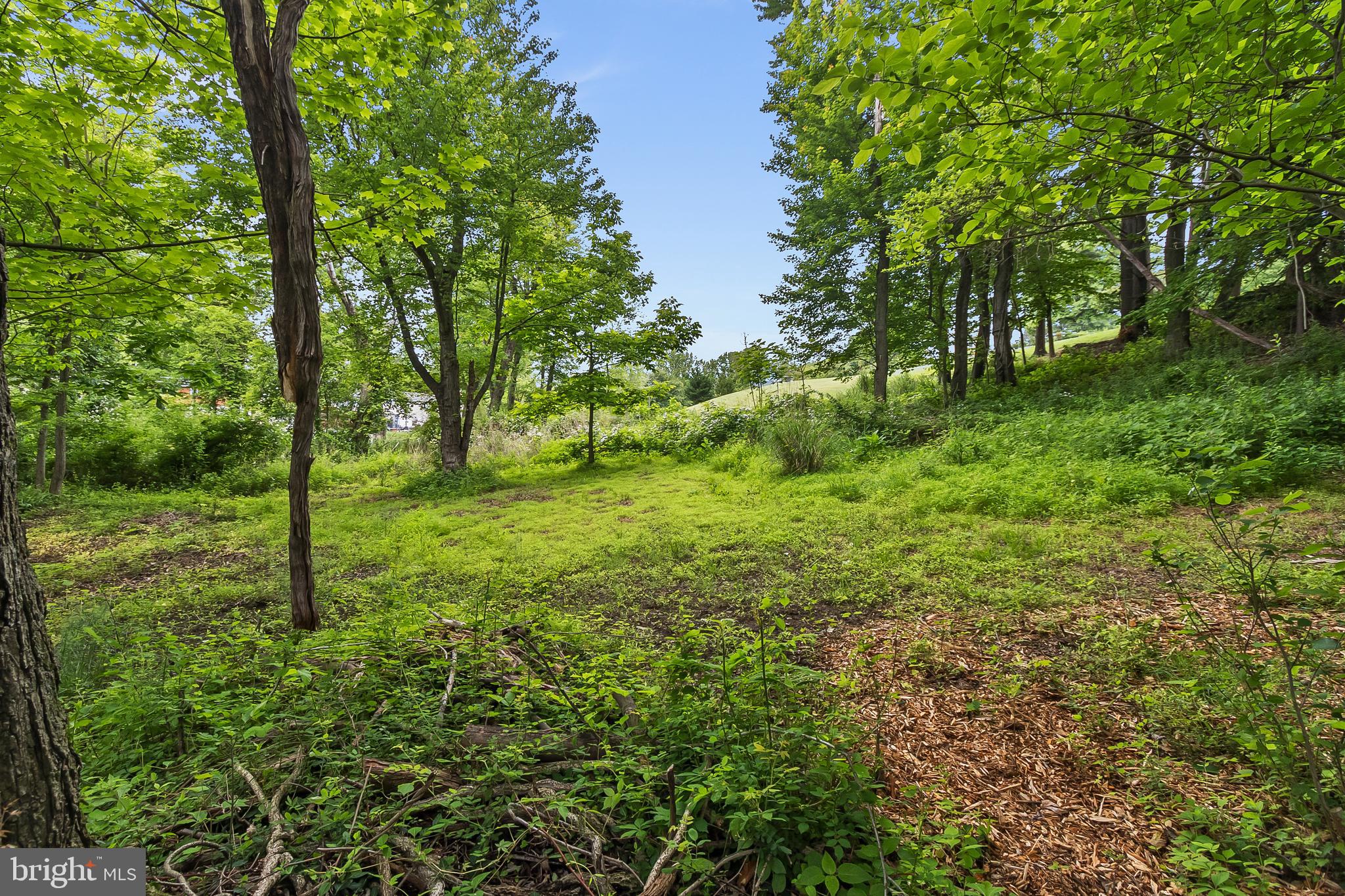 2124 Graves Road Hockessin, DE 19707 - Photo 58 of 86