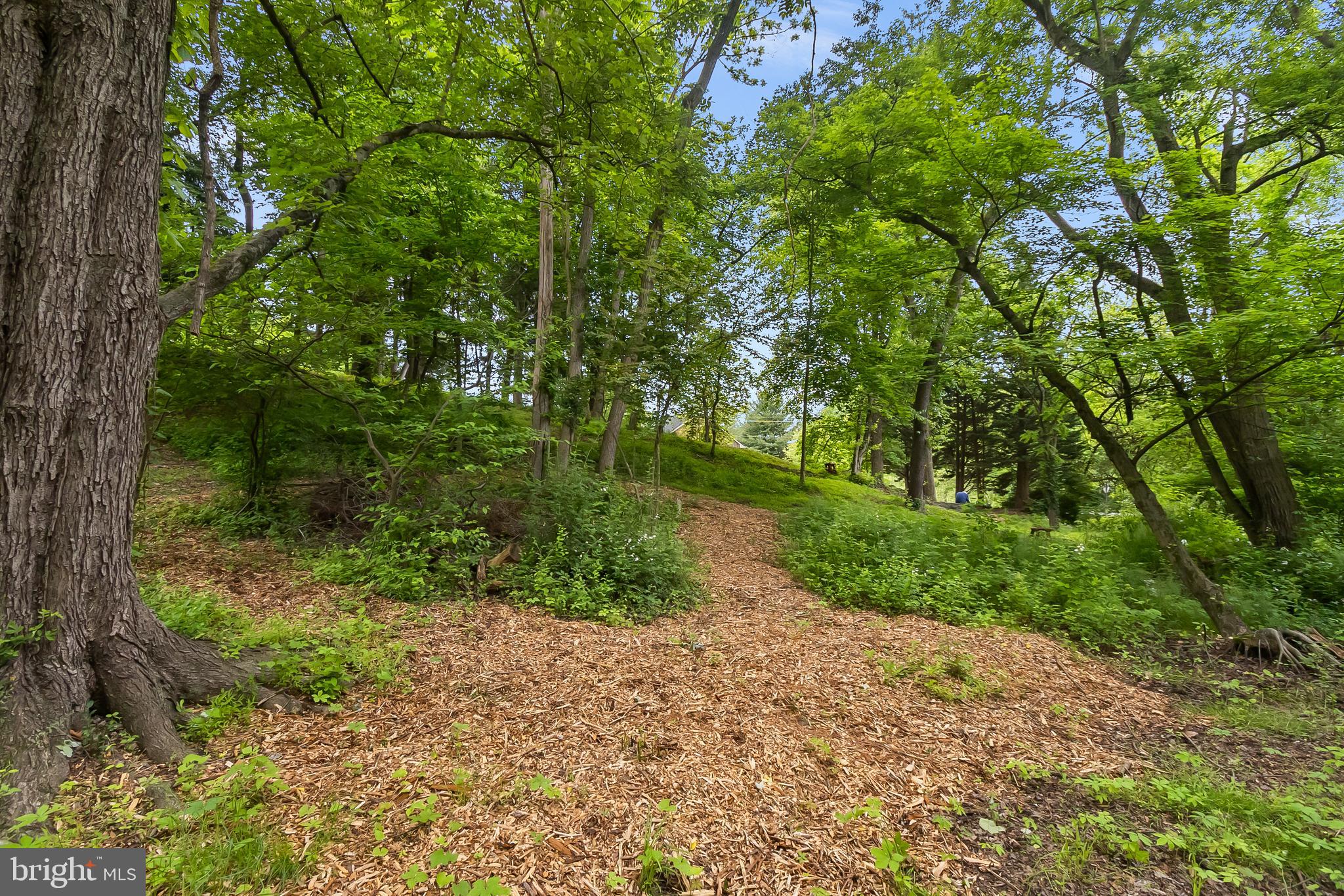 2124 Graves Road Hockessin, DE 19707 - Photo 62 of 86