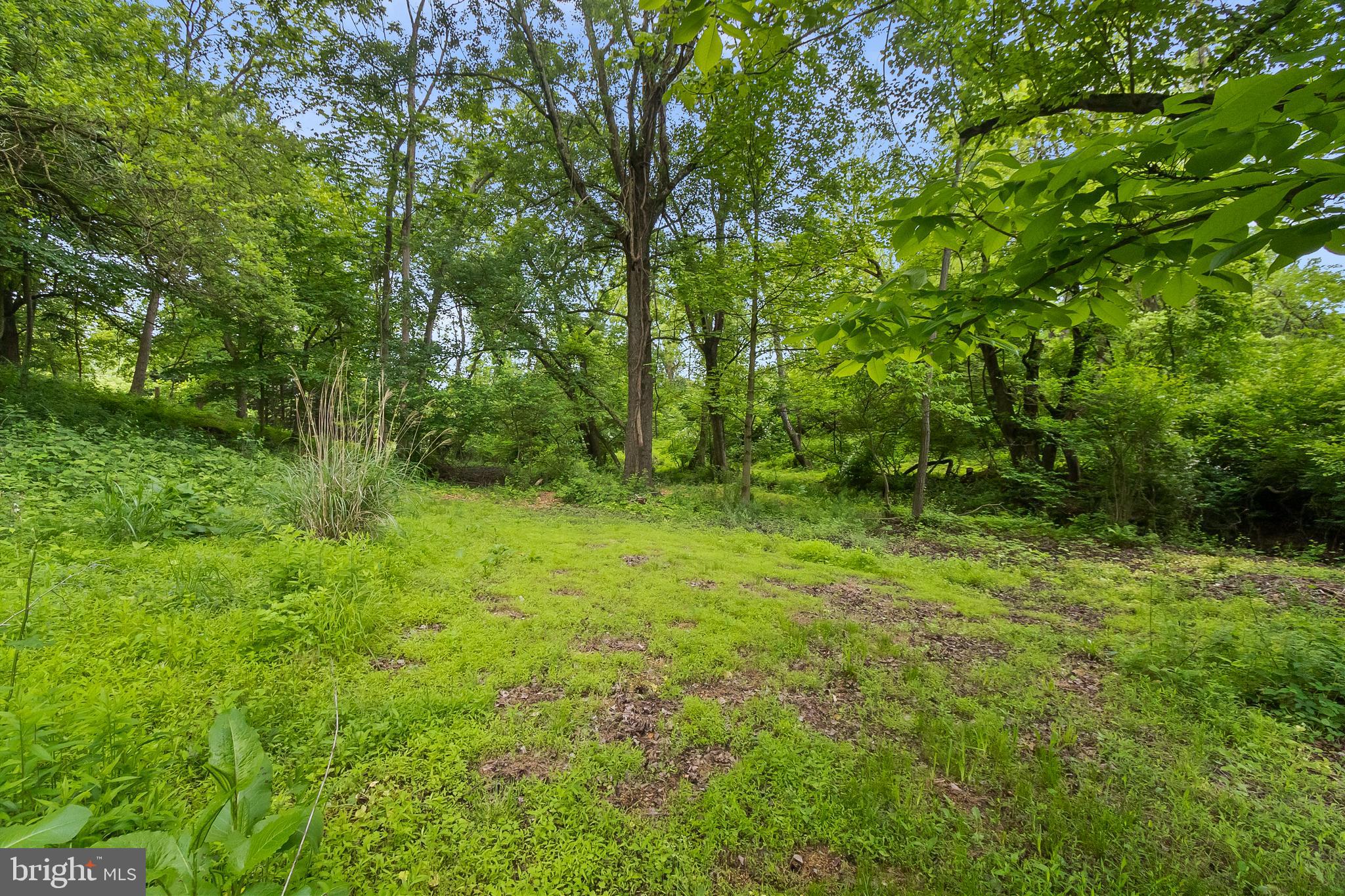 2124 Graves Road Hockessin, DE 19707 - Photo 63 of 86