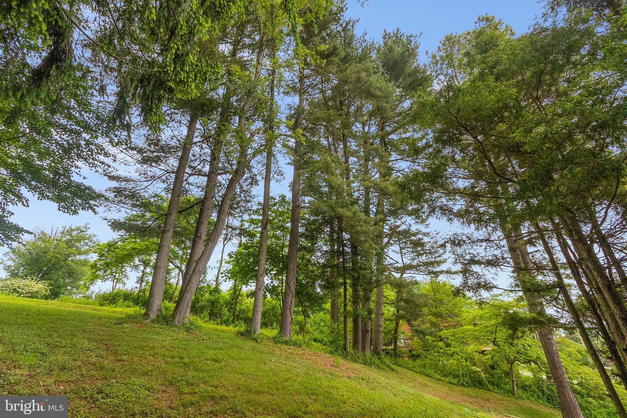 2124 Graves Road Hockessin, DE 19707 - Photo 84 of 86 Beautiful trees!