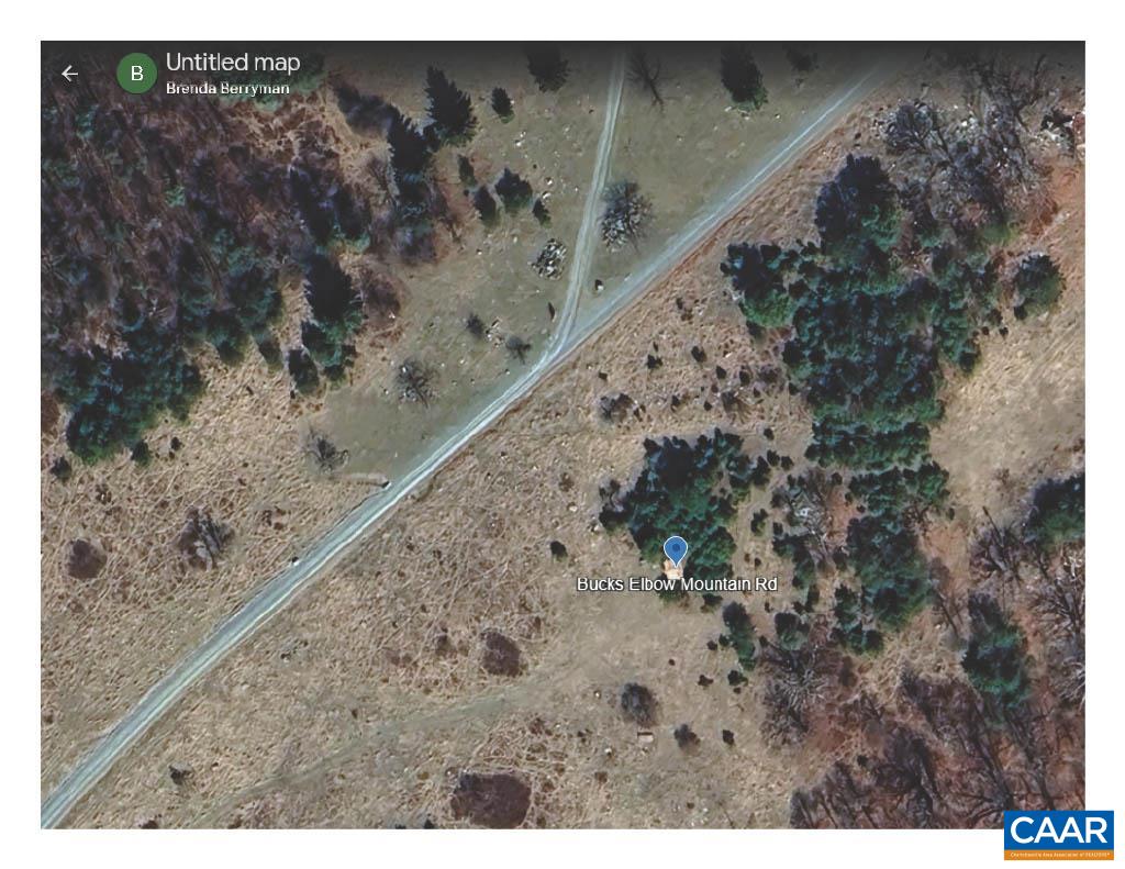 a view of a dry yard with trees