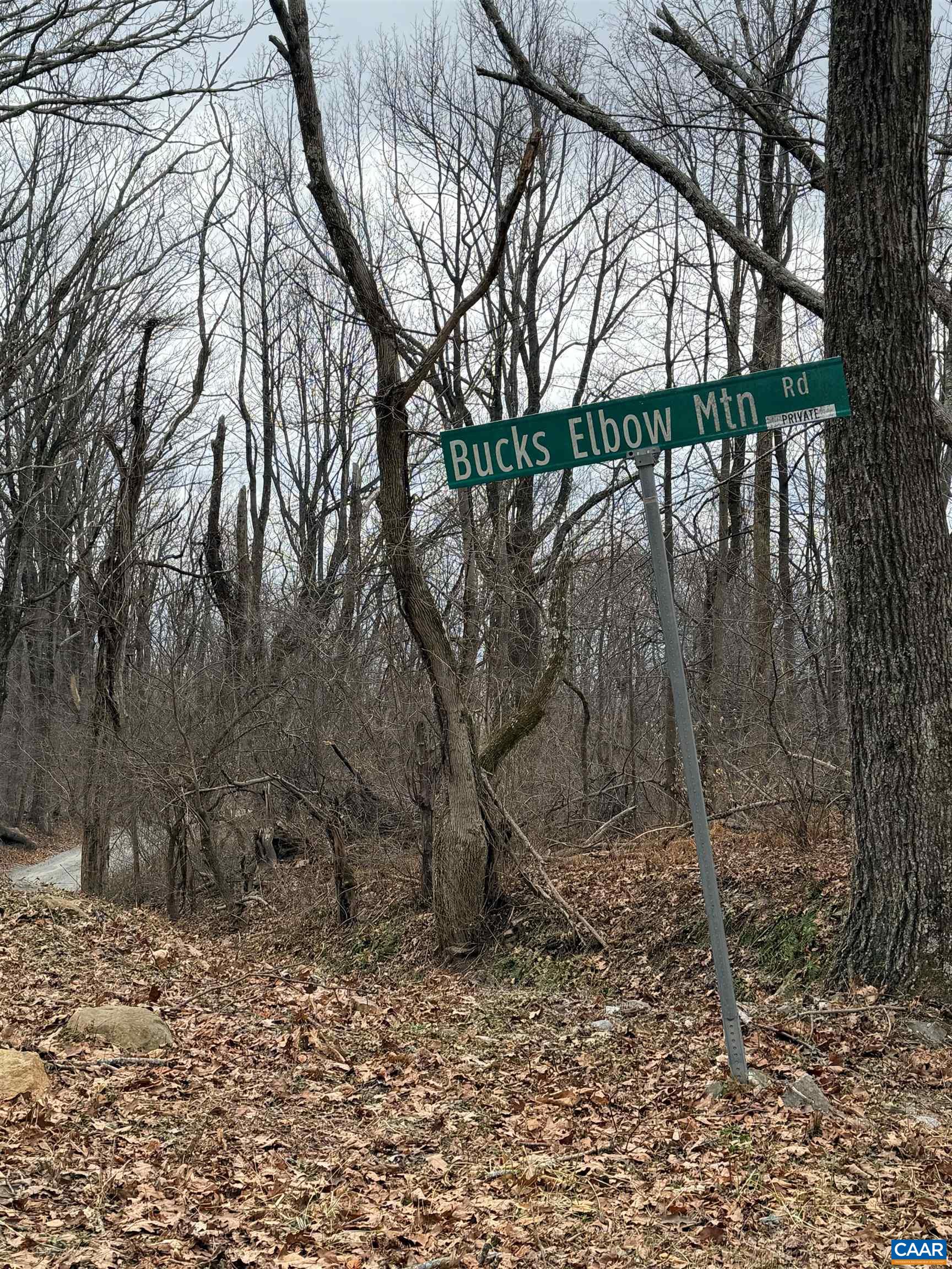 0 Bucks Elbow Mountain Road Crozet, VA 22932 - Photo 3 of 5 a view of mountain with trees in the background