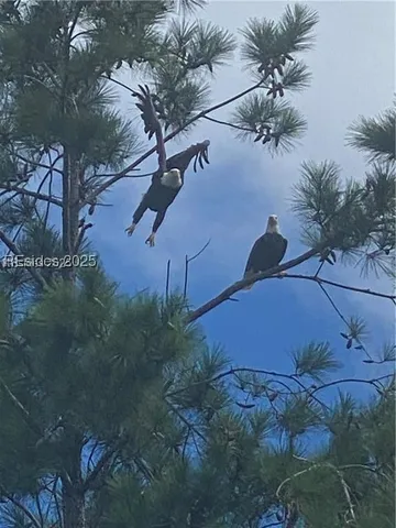 $1,069,000 | 604 Flatwater Drive, Bluffton, SC 29910