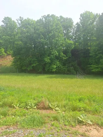 $110,000 | Lot 67 Hillside, Morganton, GA 30560