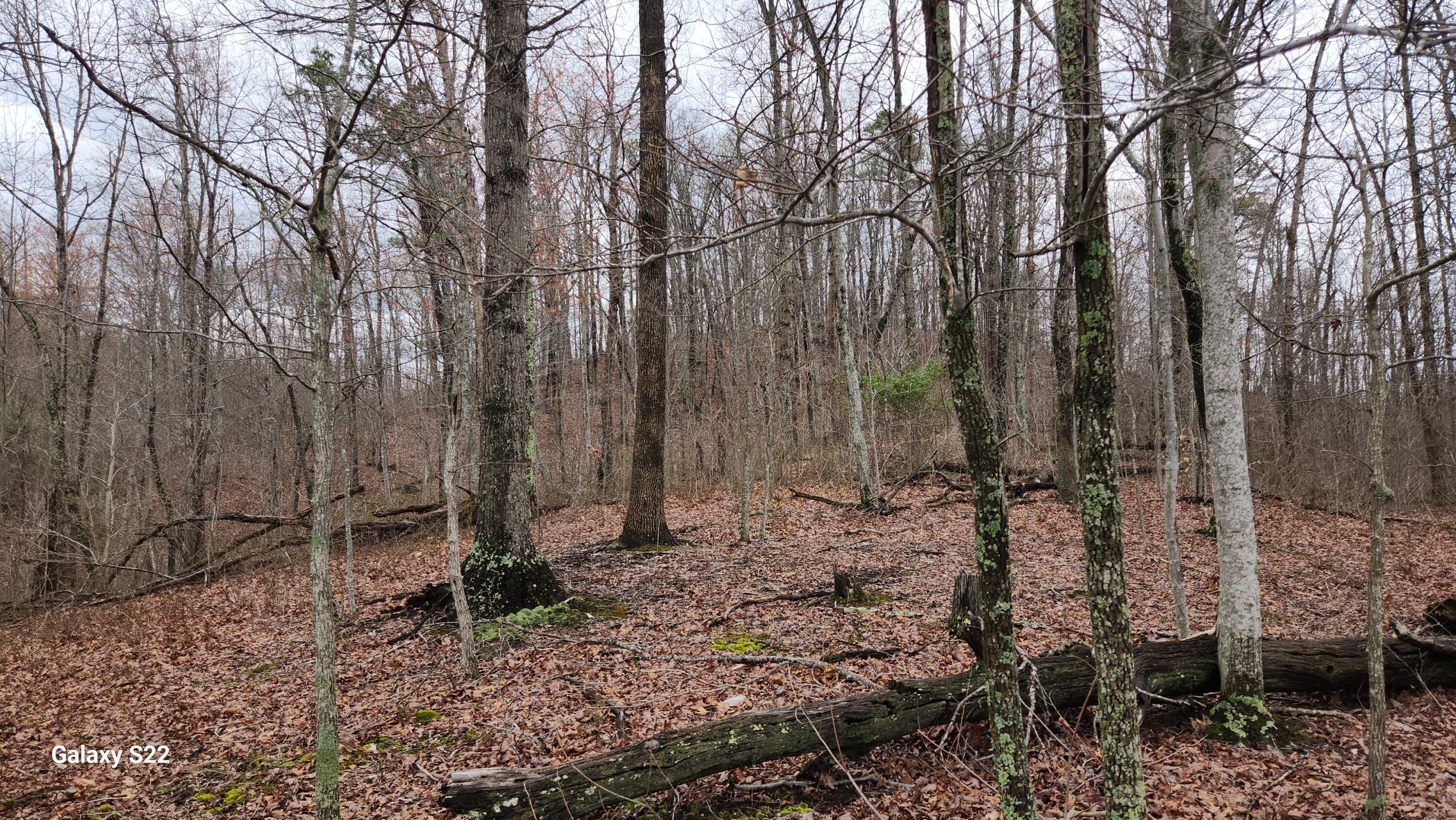 3504 East Fork Road Means, KY 40346 - Photo 1 of 11 20250405_174807