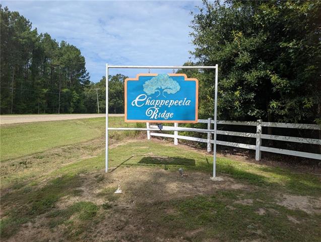 0 Providence Estates Road Amite, LA 70422 - Photo 1 of 5 Gallery Image 1