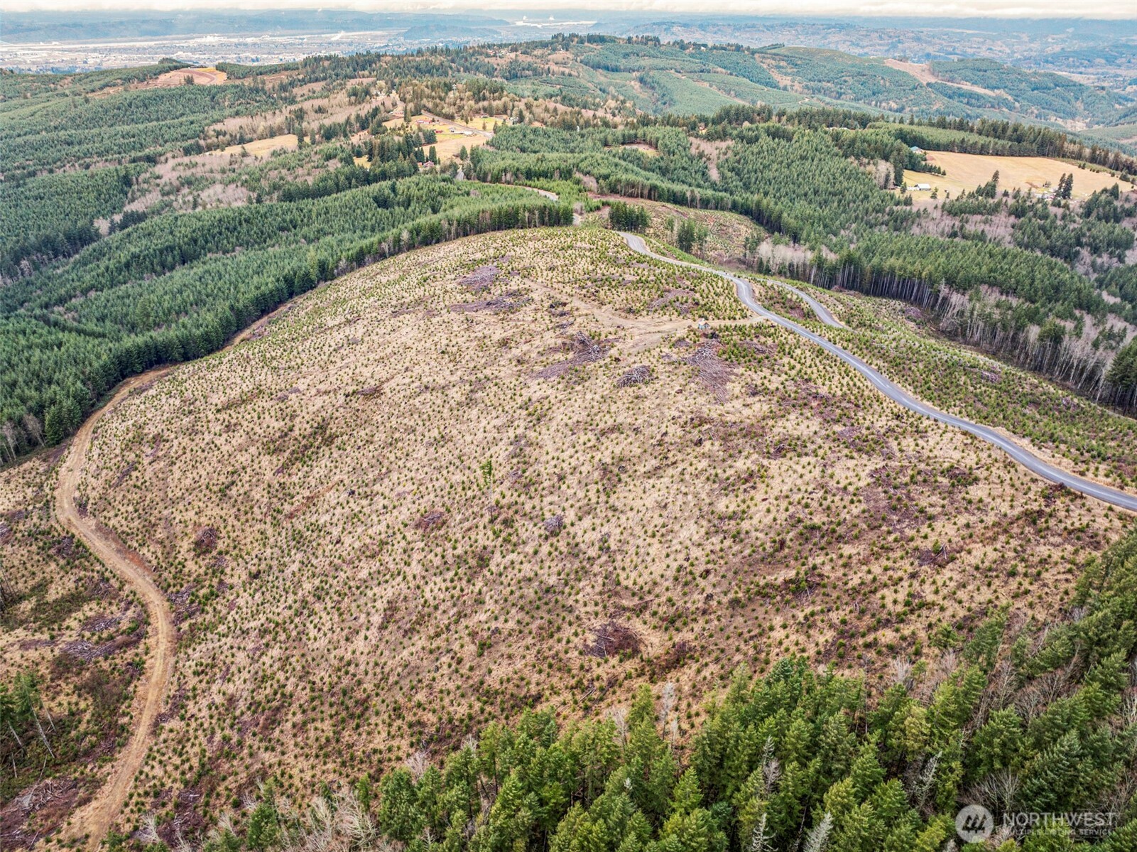 4 Hamilton Heights Road Kelso, WA 98626 - Photo 8 of 14 an aerial view of a house with a yard